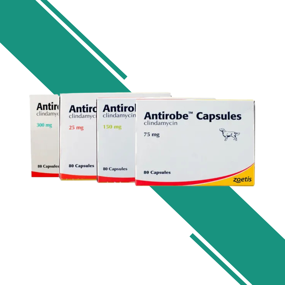 Antirobe Capsules for Veterinary Use